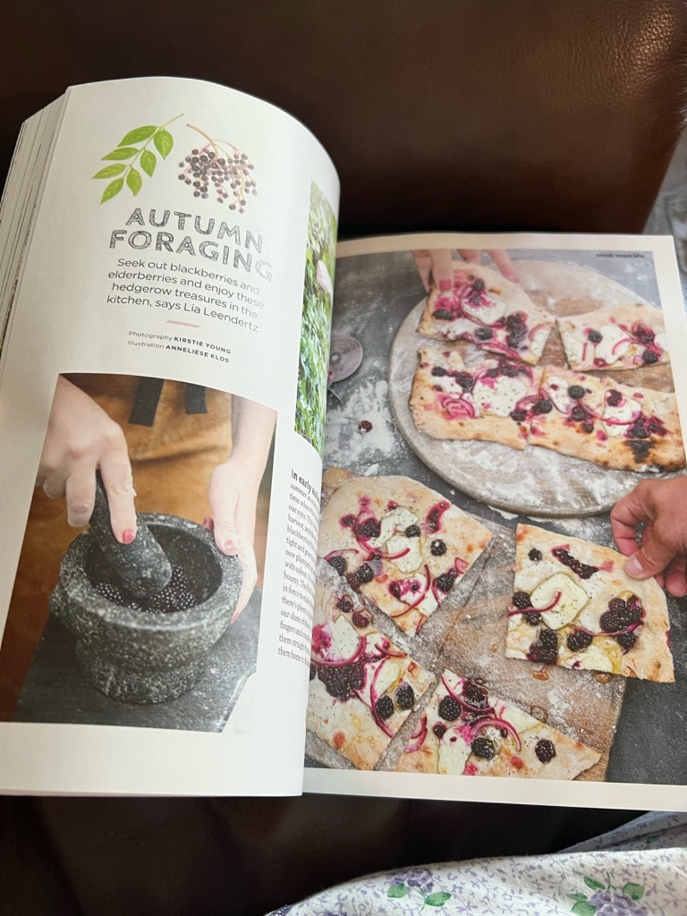 Homebird Magazine - Picture 5 of 14